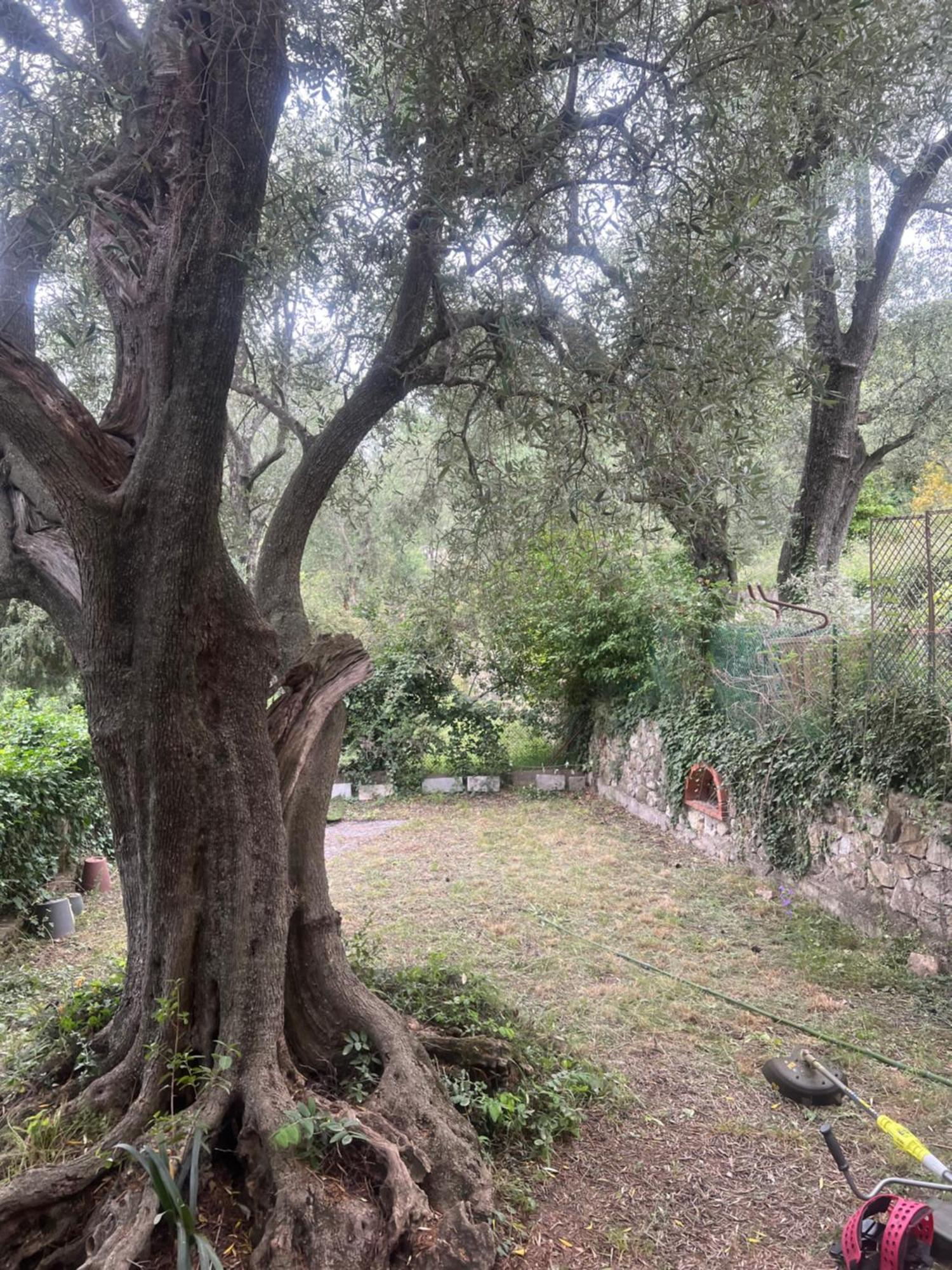 Bas De Villa Vue Mer Eze Village Buitenkant foto