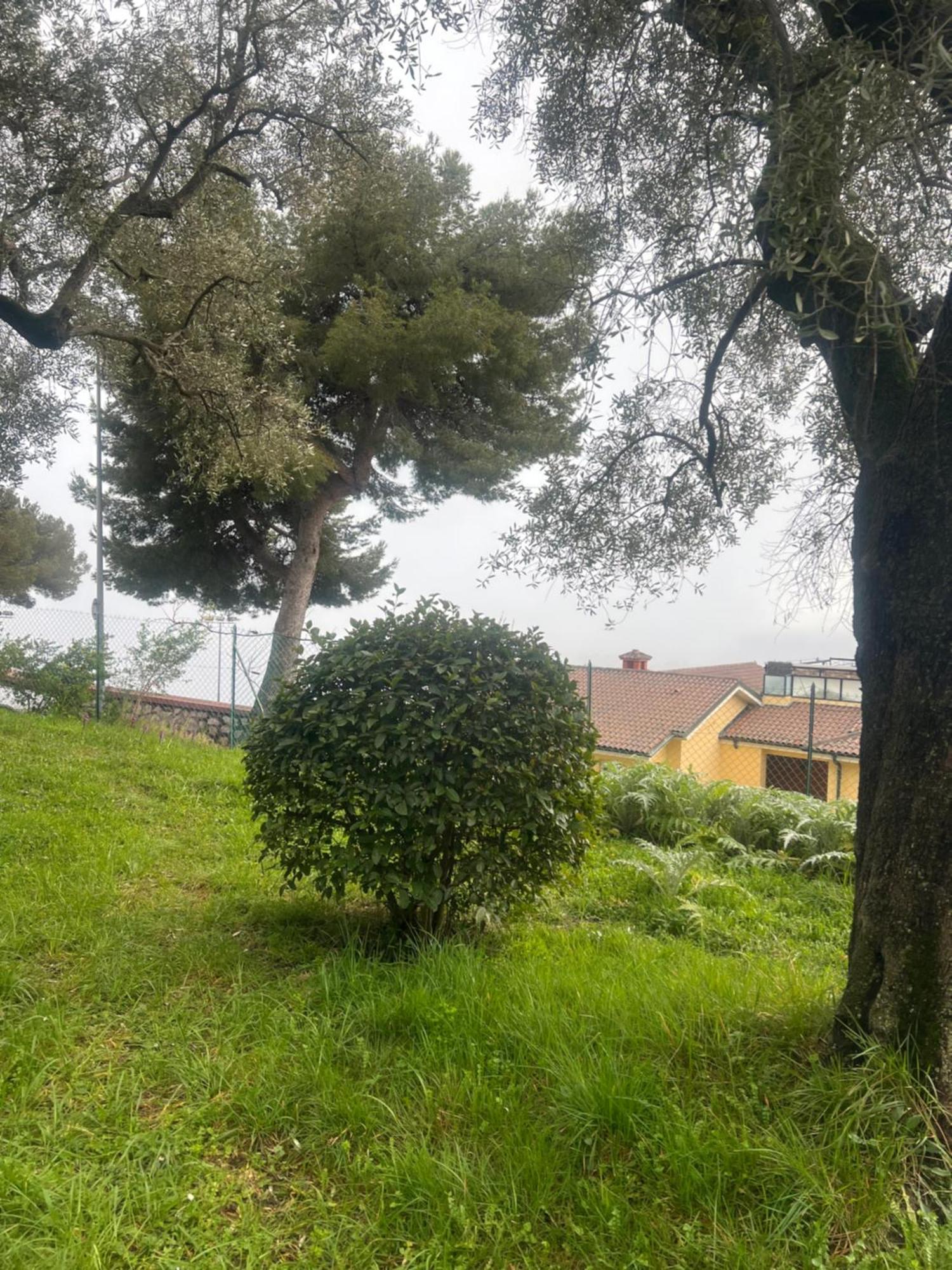 Bas De Villa Vue Mer Eze Village Buitenkant foto