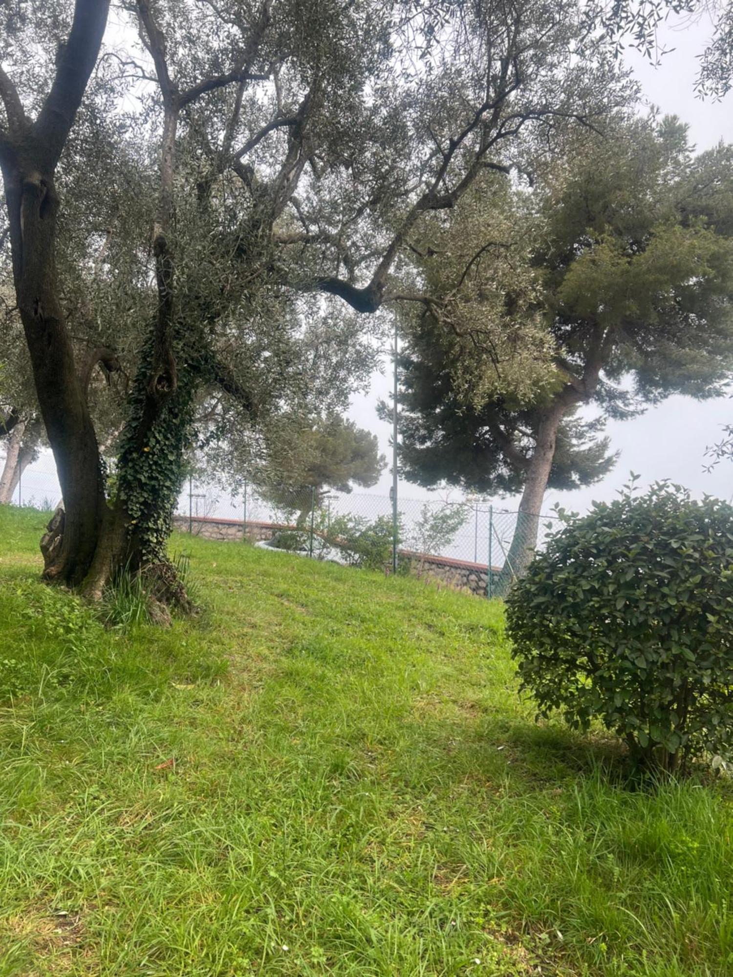 Bas De Villa Vue Mer Eze Village Buitenkant foto